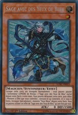 Sage yeux bleu d'occasion  Villerupt