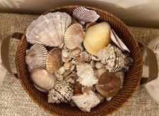 Basket mixed beach for sale  Kingsland