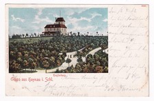 Alte 1902 gruss gebraucht kaufen  Berlin