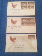 Poultry 968 chickens for sale  Bristol