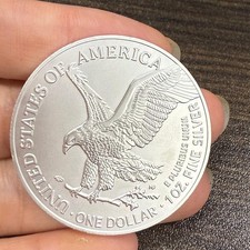 Silver 2025 american for sale  USA