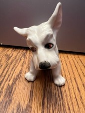 Terrier dog erphila for sale  Munster