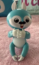 Fingerlings baby squirrel for sale  BISHOP'S STORTFORD