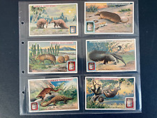 cartas colecionáveis Liebig mamíferos desdentados S1095 conjunto completo 1914 comprar usado  Enviando para Brazil