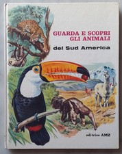 Editrice amz guarda usato  Palaia