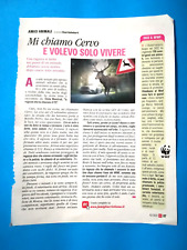 Ritaglio giornale clipping usato  Bologna