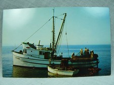 Puget sound washington for sale  Newton