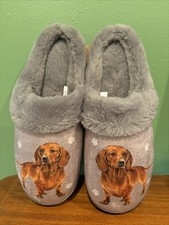 New women dachshund for sale  Richmond
