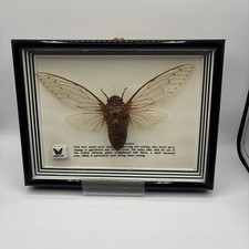 Shadow box frame for sale  Phoenixville