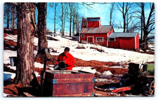Cartolina vermont uomo usato  Spedire a Italy