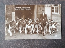Cpa chiens courants d'occasion  Le Havre-