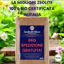 Zeolite pura micronizzata usato  Brindisi