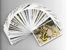 Sammelbilder wagner album gebraucht kaufen  Herzberg