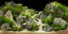 180x61cm acquario sfondo usato  Italia