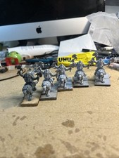 Hobgoblin wolf riders for sale  LLANELLI