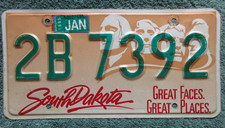 south dakota license plate for sale  Flushing