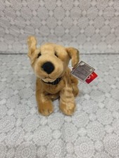 russ puppy for sale russ puppy for sale Morrison