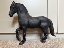 friesian horses for sale friesian horses for sale PETERSFIELD