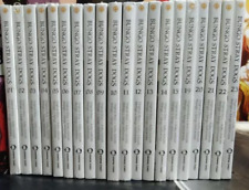 Bungo Stray Dogs Manga Wersja angielska Vol.1-25 Pełny zestaw od Kafka Asagiri - DHL na sprzedaż  Wysyłka do Poland