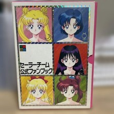 Sailor team fan usato  Spedire a Italy
