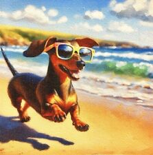 Miniature dachshund running for sale  SOLIHULL