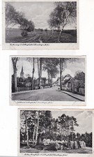 Fallingbostel 1943 birkenweg gebraucht kaufen  Sangerhausen