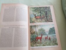 Voss kunstbilder reich gebraucht kaufen  Malente