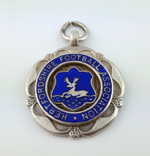 Silver enamel hertfordshire for sale  HULL