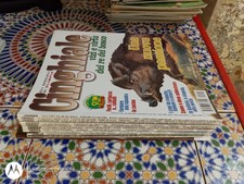 Lotto caccia oggi usato  Tavigliano