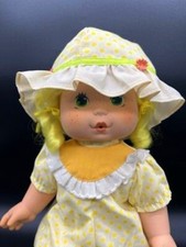 1982 strawberry shortcake for sale  Sophia