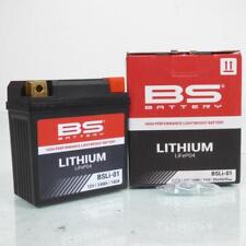 Batterie lithium battery d'occasion  Bourg-Argental