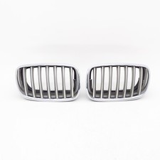Kühlergrill bmw e70 gebraucht kaufen  Meschede