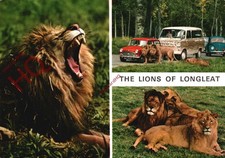 Picture postcard longleat for sale  NEWCASTLE UPON TYNE