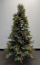 Treetopia portland pine for sale  Morrisville