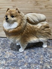 Coopercraft pomeranian tan for sale  LIVERPOOL