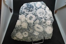 Diorite orbiculaire rose d'occasion  Sainte-Maxime