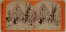 Usado, Frozen Grove Luna Island Niagara New York USA Photo Stereo Vintage Albumine comprar usado  Enviando para Brazil