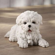 Maltese white terrier for sale  Miami