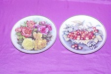 Coppia piatti ceramica usato  Galliate