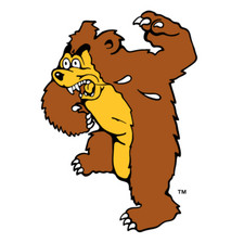 Montana grizzlies ncaa for sale  Leslie
