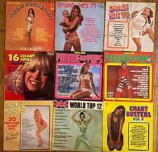 Cheesecake sleeve 1970s for sale  ILFRACOMBE