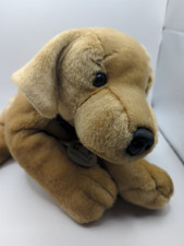 Monty golden labrador for sale  NOTTINGHAM