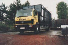 Photo merc livestock for sale  EGHAM