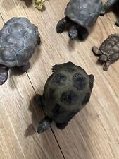 Schleich schildkröten safari gebraucht kaufen  Wiesbaden
