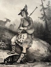 Berger ecossais ecosse d'occasion  Pluvigner
