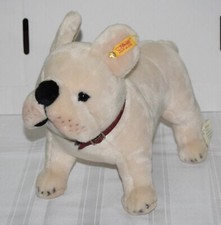 Steiff akc french for sale  Columbus