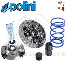 Kit variatore polini usato  Santa Maria Capua Vetere