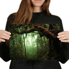 Tropical rain forest for sale  SELBY