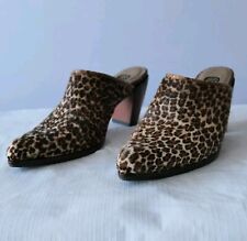 Salpy anthropology leopard for sale  Philadelphia