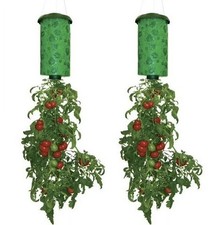 2pcs upside tomato for sale  GREENFORD